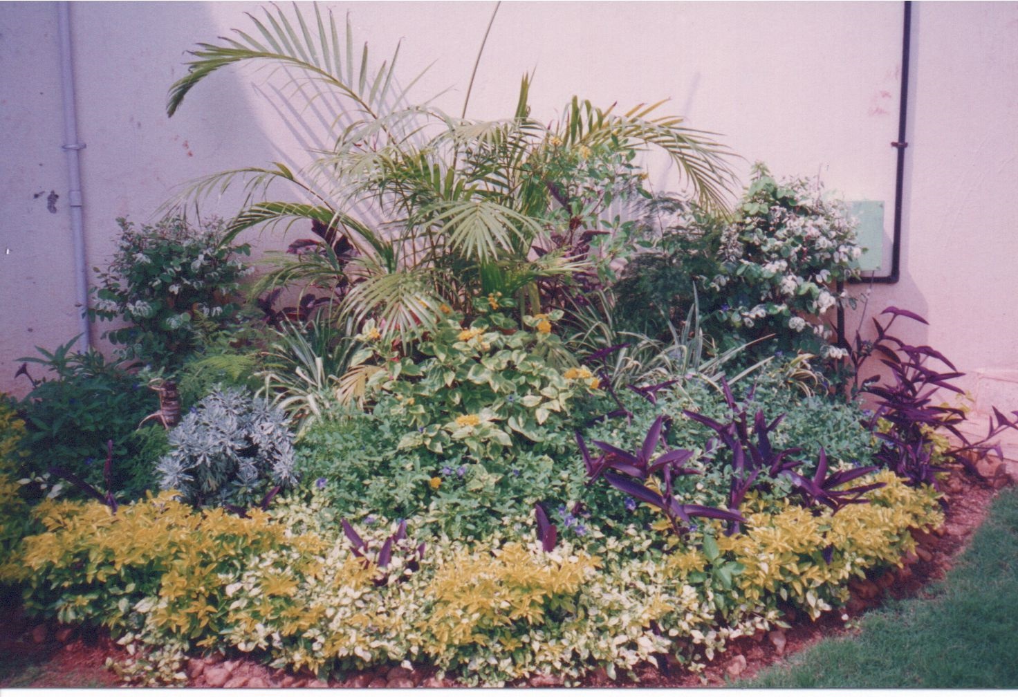 Lokish Garden