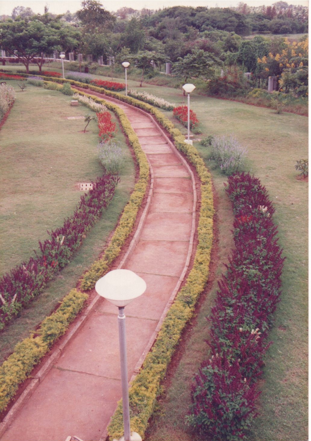 Lokish Garden