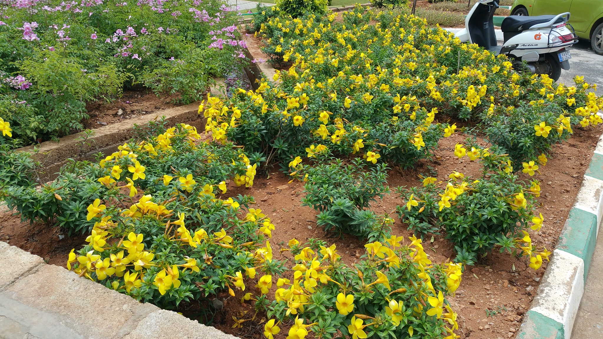 Lokish Garden