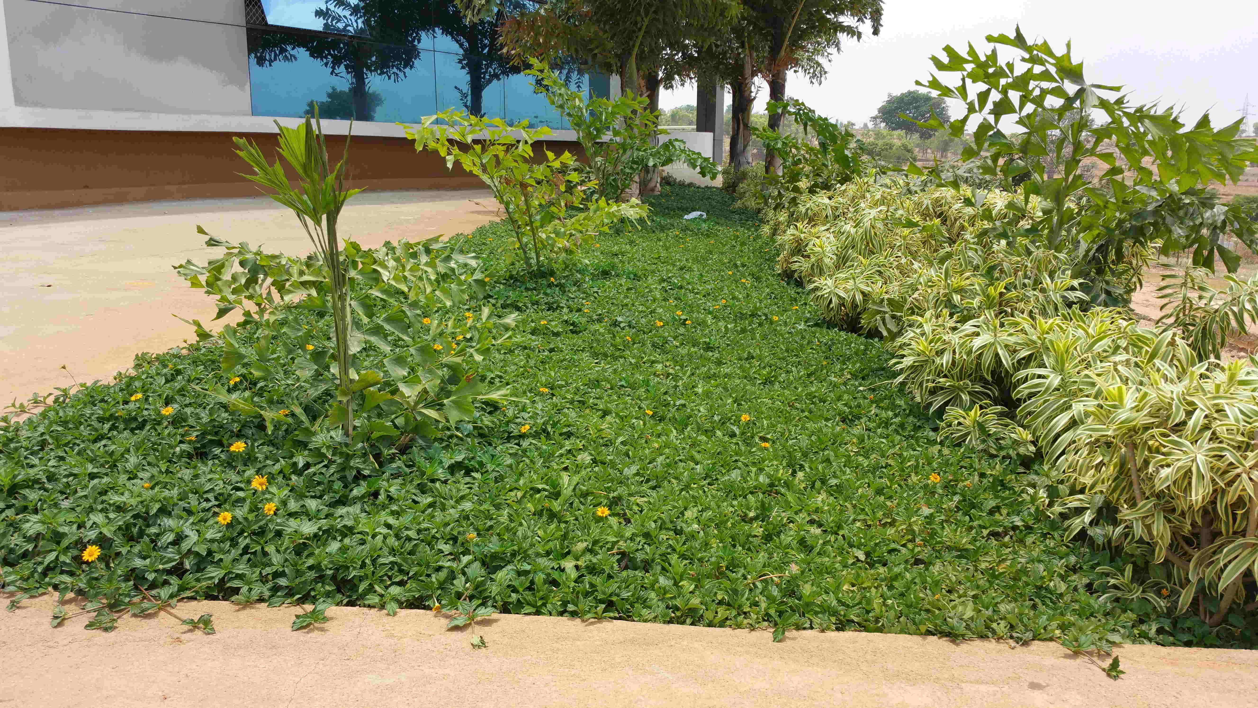 Lokish Garden