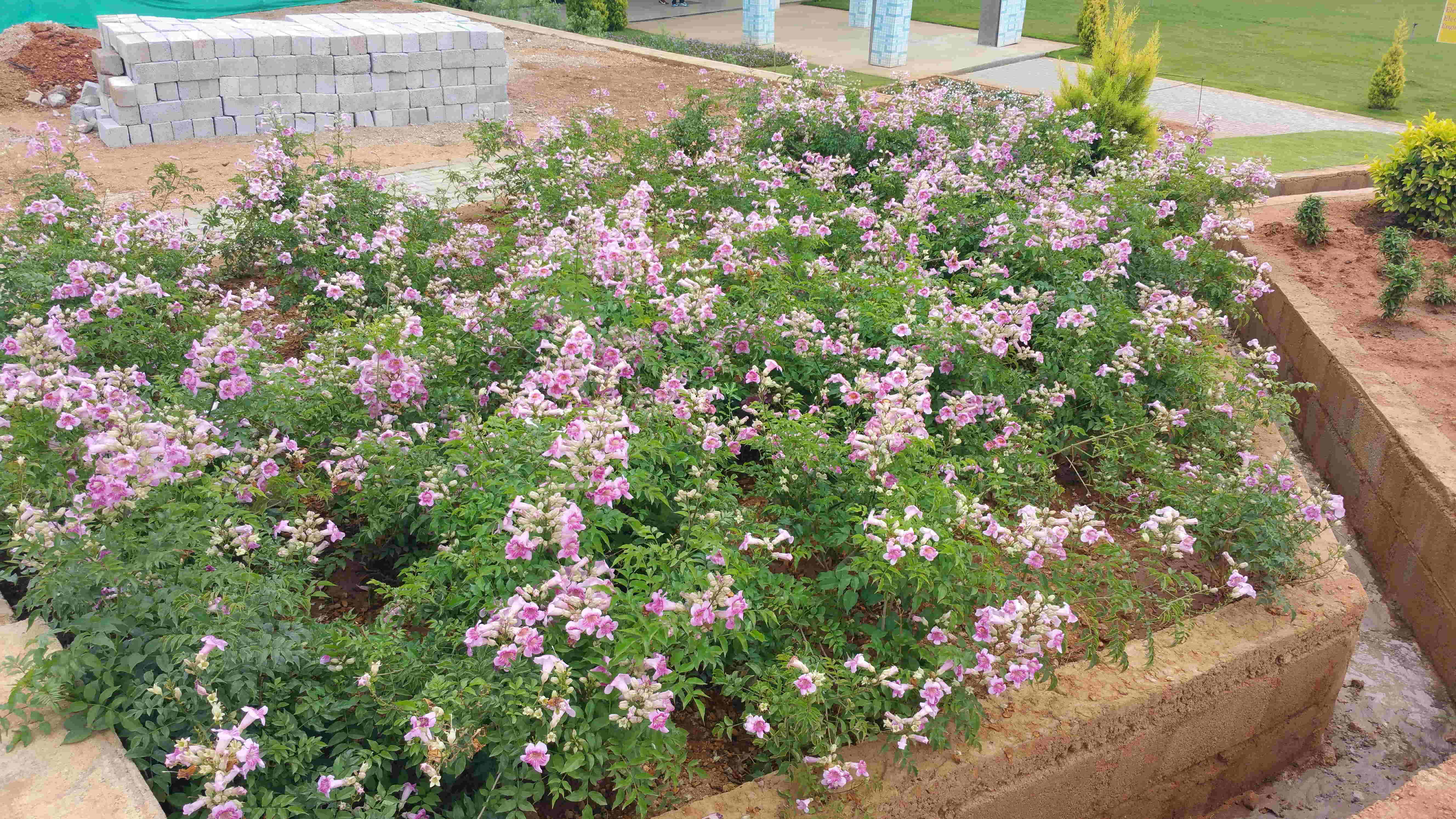 Lokish Garden