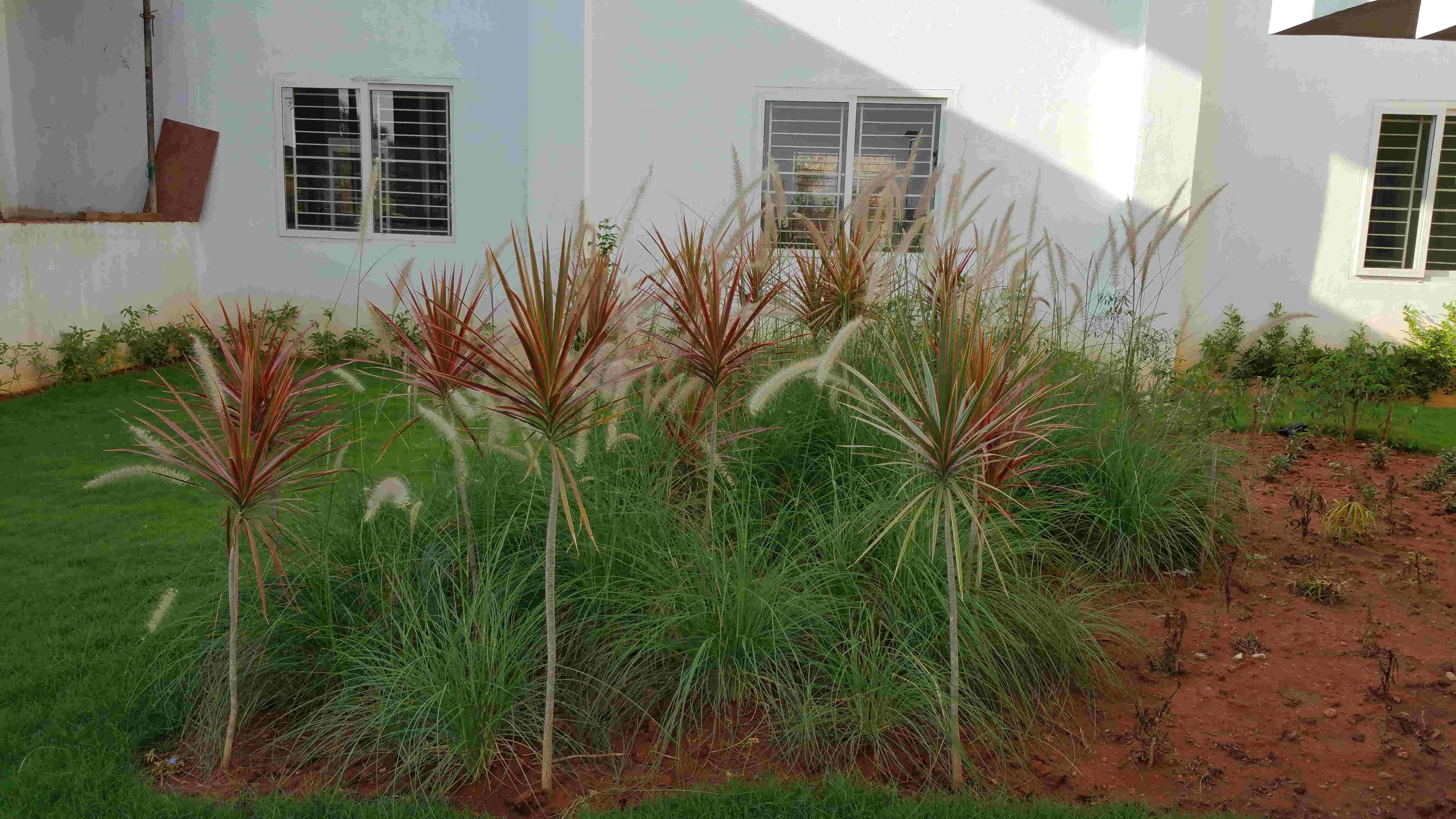 Lokish Garden