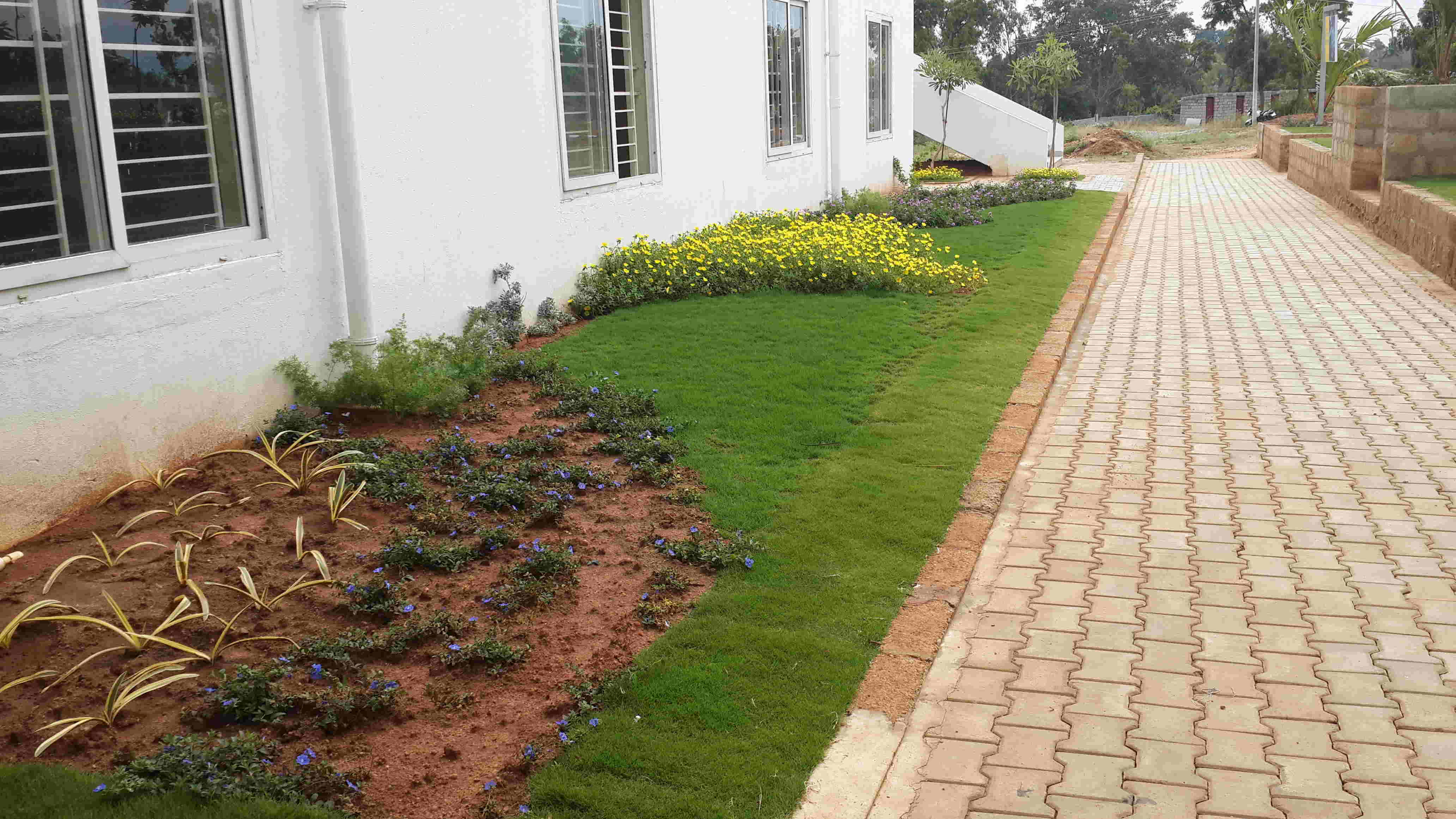 Lokish Garden