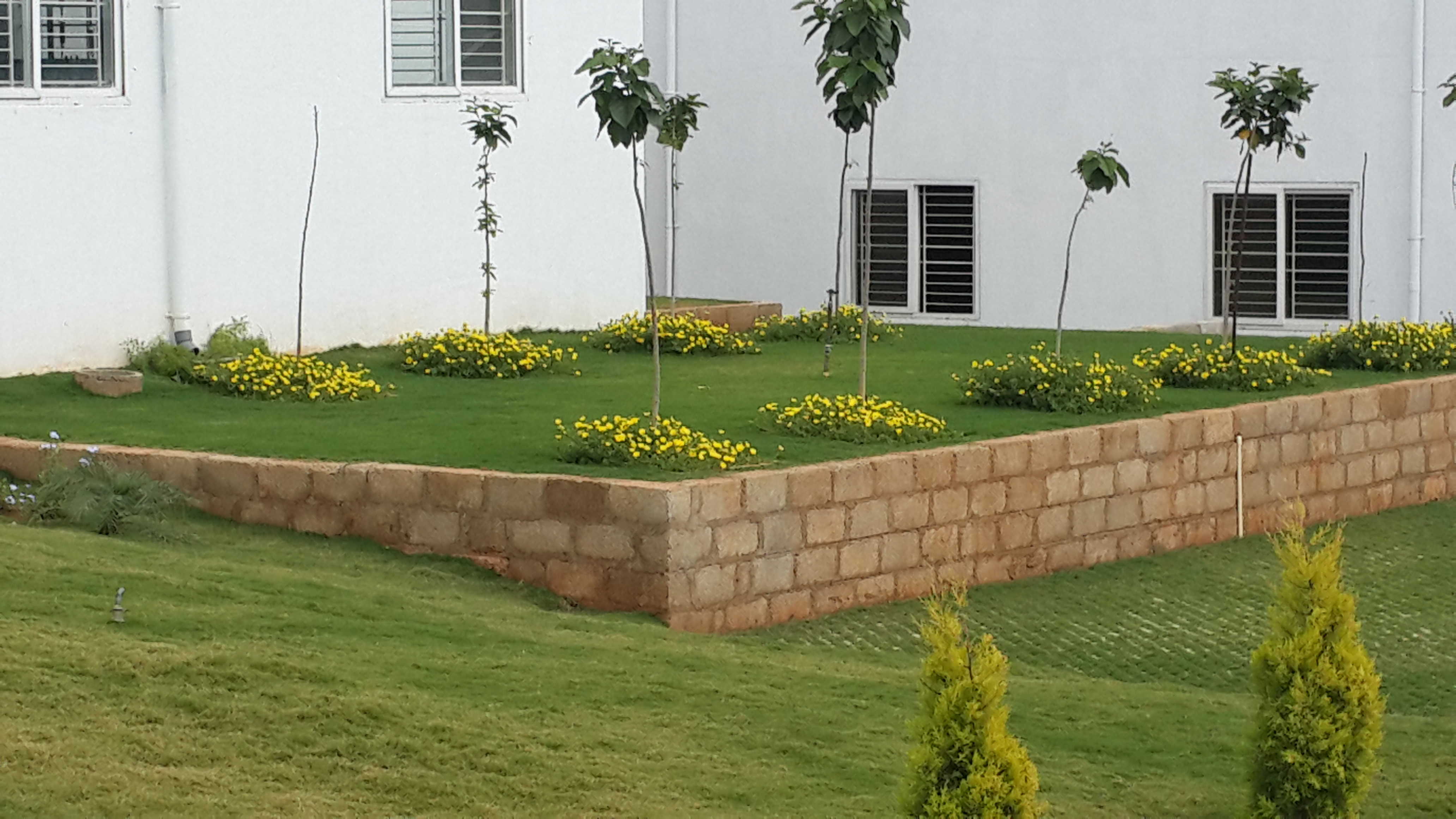 Lokish Garden
