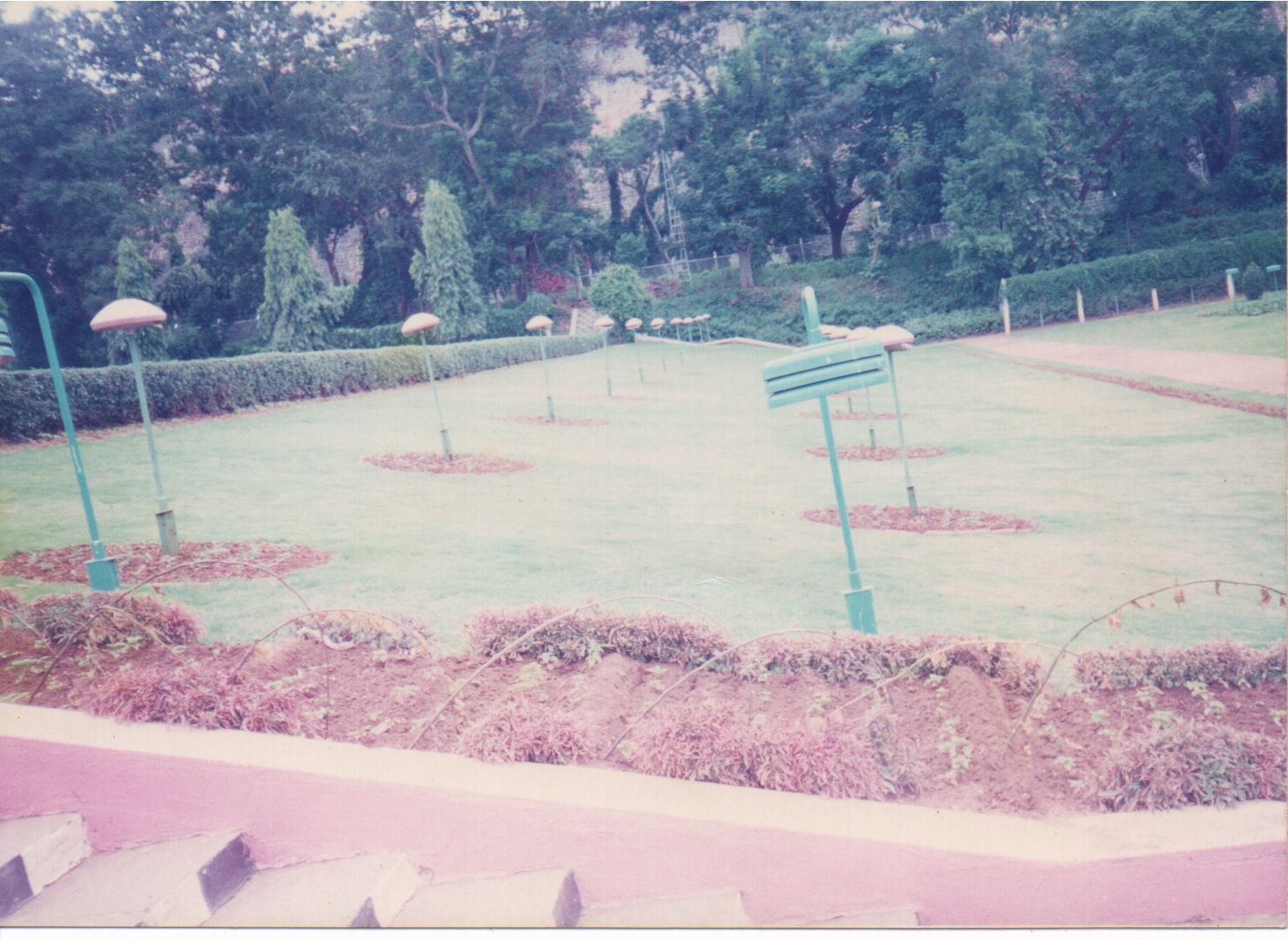 Lokish Garden