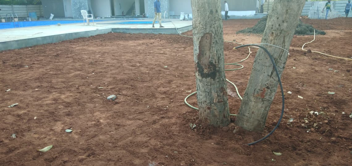 Lokish Garden