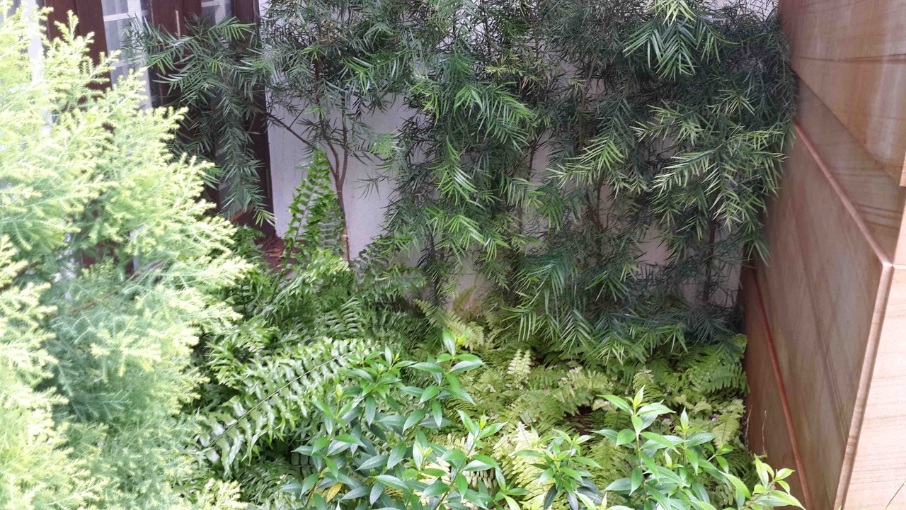 Lokish Garden